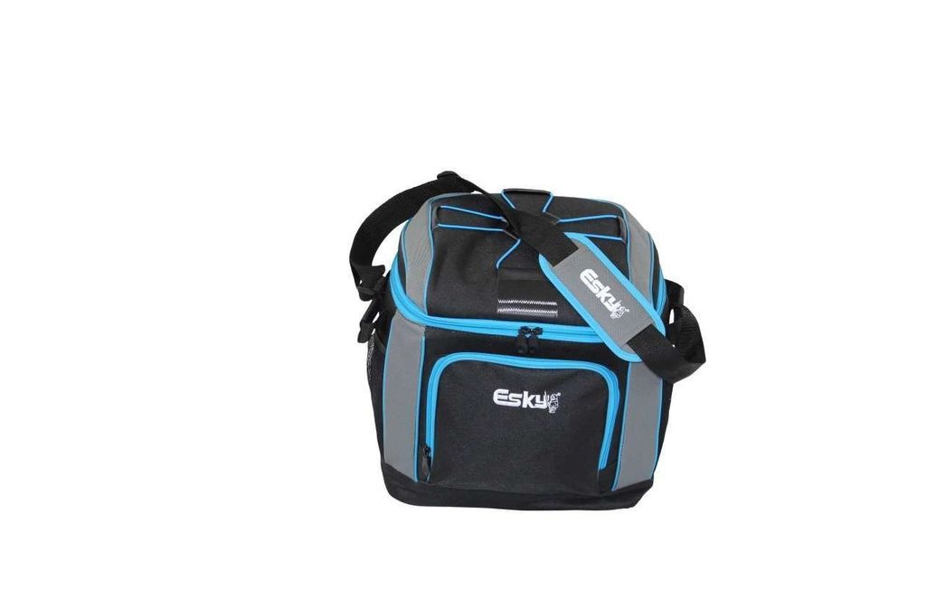 picnic esky bag