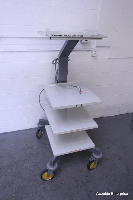 OLYMPUS IMAGING CART TI1900 ENDOSCOPY SYSTEM MOBILE WORKSTATION eBay