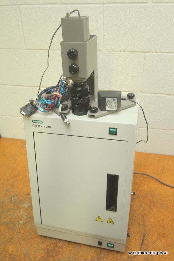 BIORAD GEL DOC 1000 FLUORESCENT IMAGING SYSTEM