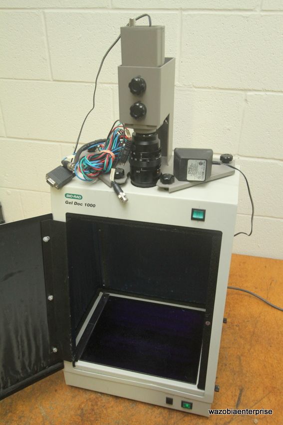 BIORAD GEL DOC 1000 FLUORESCENT IMAGING SYSTEM