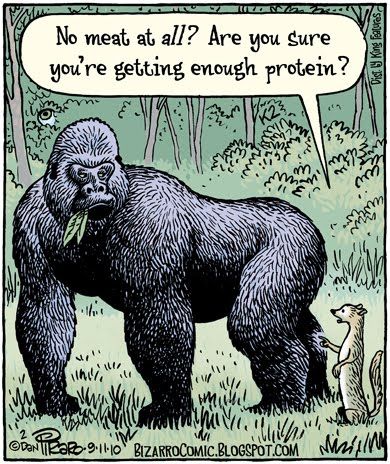 protein-getting-enough-gorilla-bizarrocomiccom__zps8d0b23cd.jpg