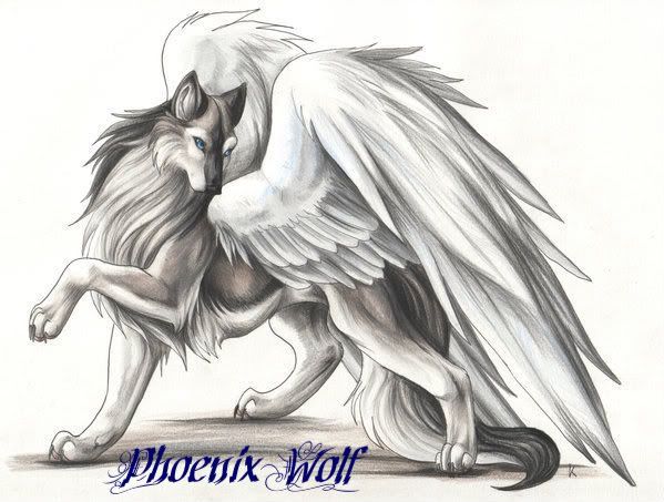 Phoenix Wolf