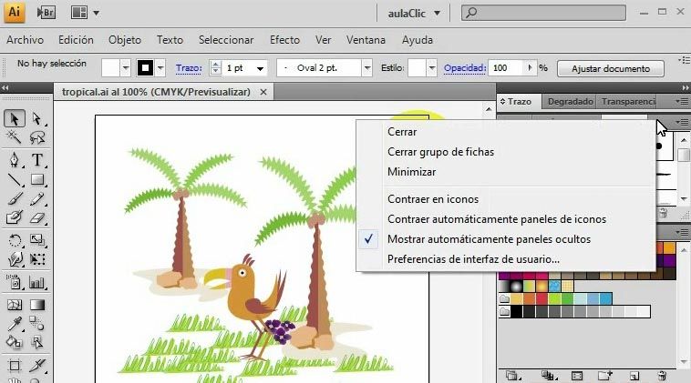 video curso adobe illustrator cs4 espa?ol ajustar entorno de trabajo