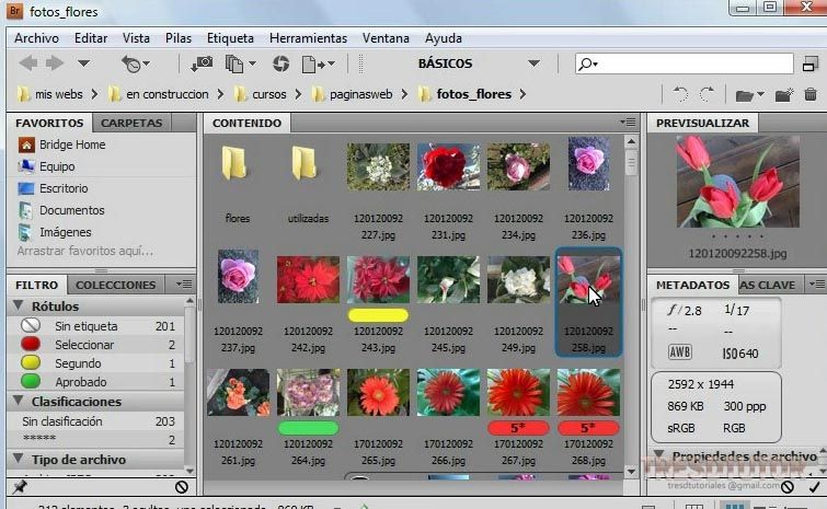 video curso adobe photoshop cs4 conociendo las herramientas entorno graficos fotoshop
