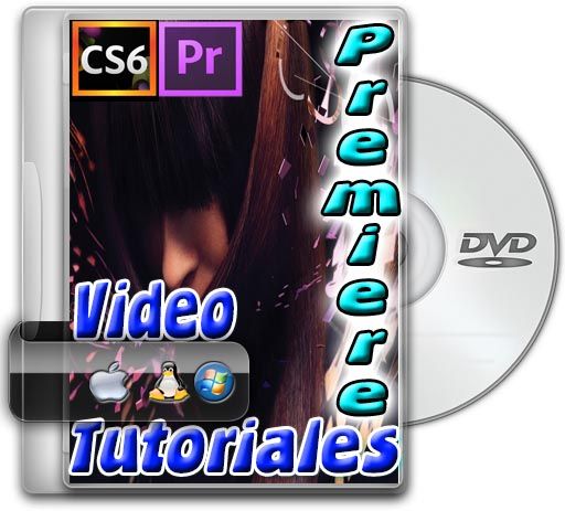 Video Tutoriales Adobe Premiere Pro cs6 full