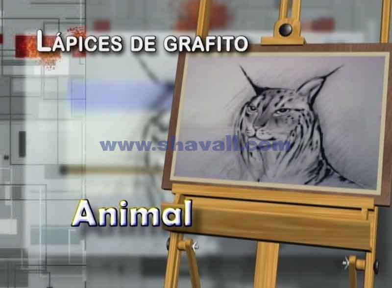 aprender a pintar con lápices de grafito un animal
