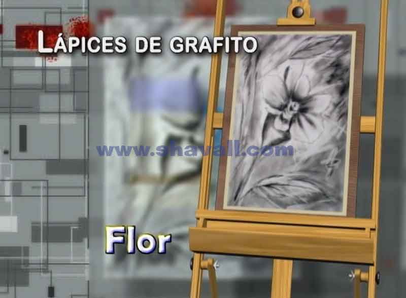 Aprender a pintar con lápices de grafito una flor