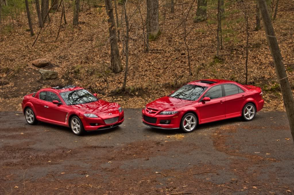 IMAGE: http://i1028.photobucket.com/albums/y347/Mr_Tuscani03/CodyandTylerHDRPM.jpg