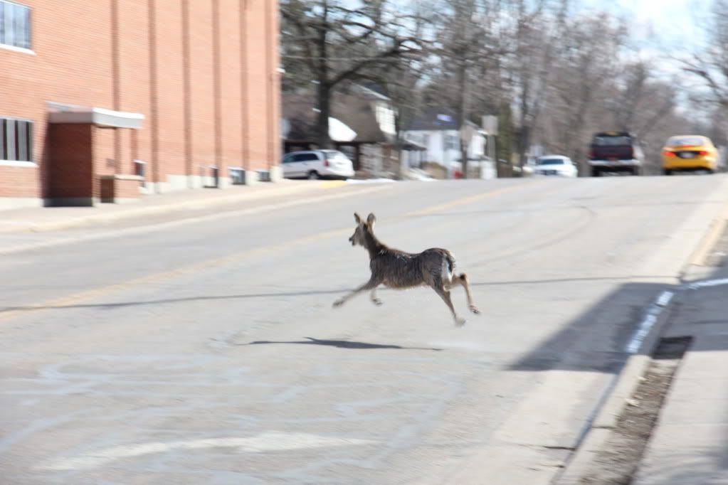 IMAGE: http://i1028.photobucket.com/albums/y347/Mr_Tuscani03/IMG_0519.jpg