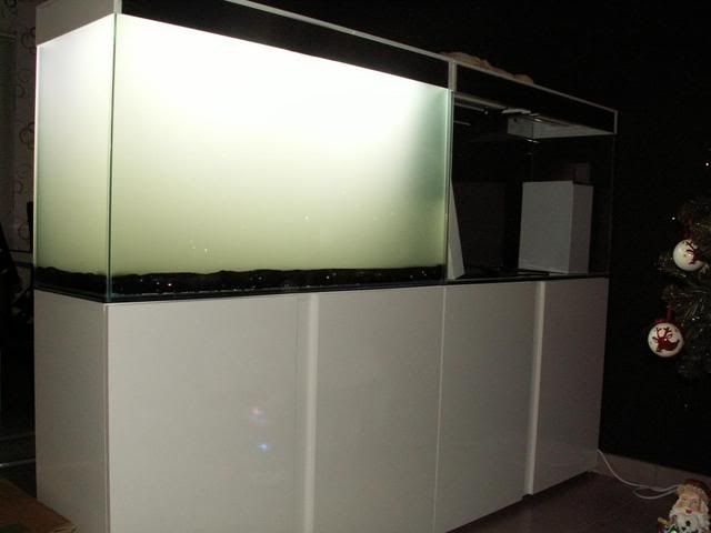 http://i1028.photobucket.com/albums/y349/clioke/Ciano%20Emotions/PICT9050_zpsb73c600f.jpg
