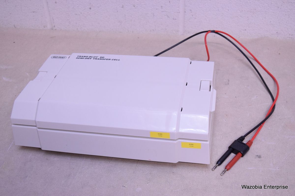 bio rad western blot apparatus ebay