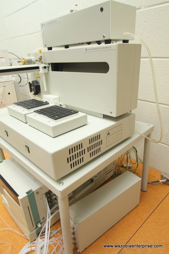 HITACHI TRANSGENOMIC WAVE NUCLEIC ACID FRAGMENT ANALYSIS HPLC SYSTEM 