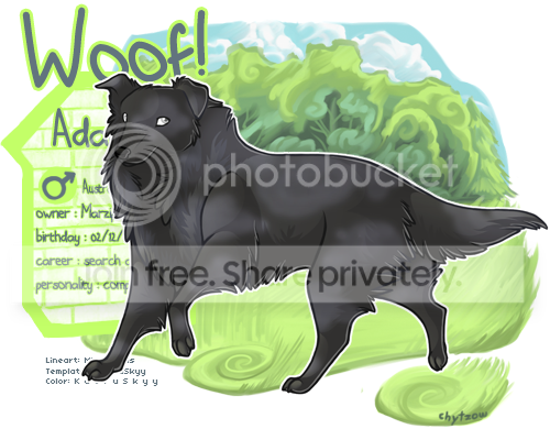 User Image
