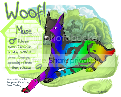 User Image