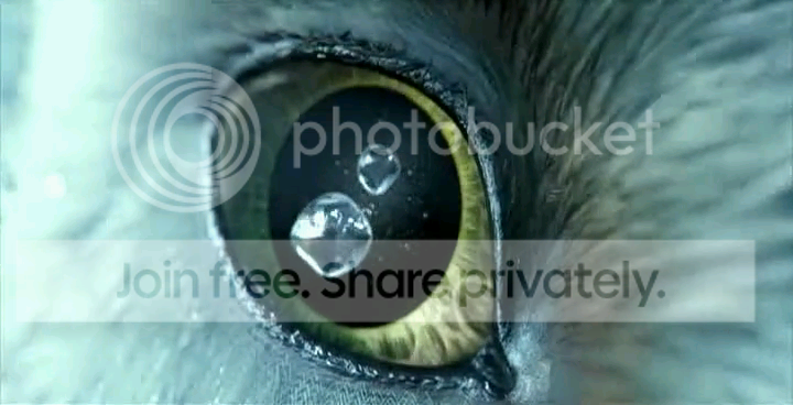 a353669d.png