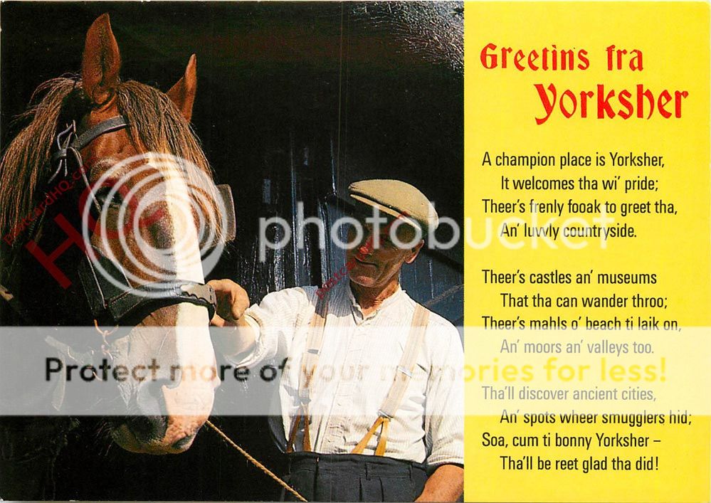 images may contain scanning defects which are not present on the