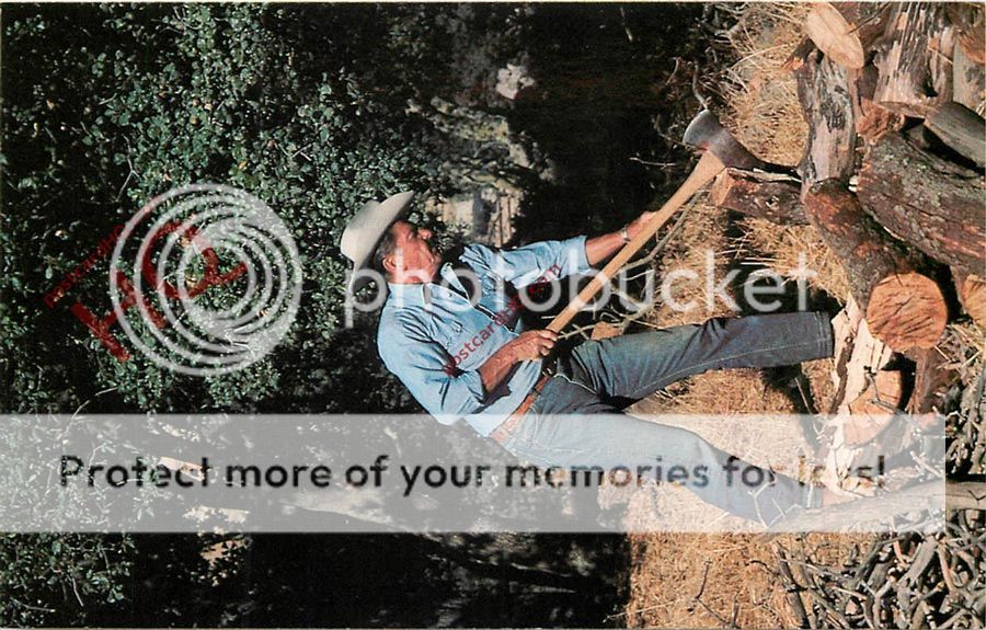 有关以下物品的详细资料: postcard:- ronald regan chopping wood