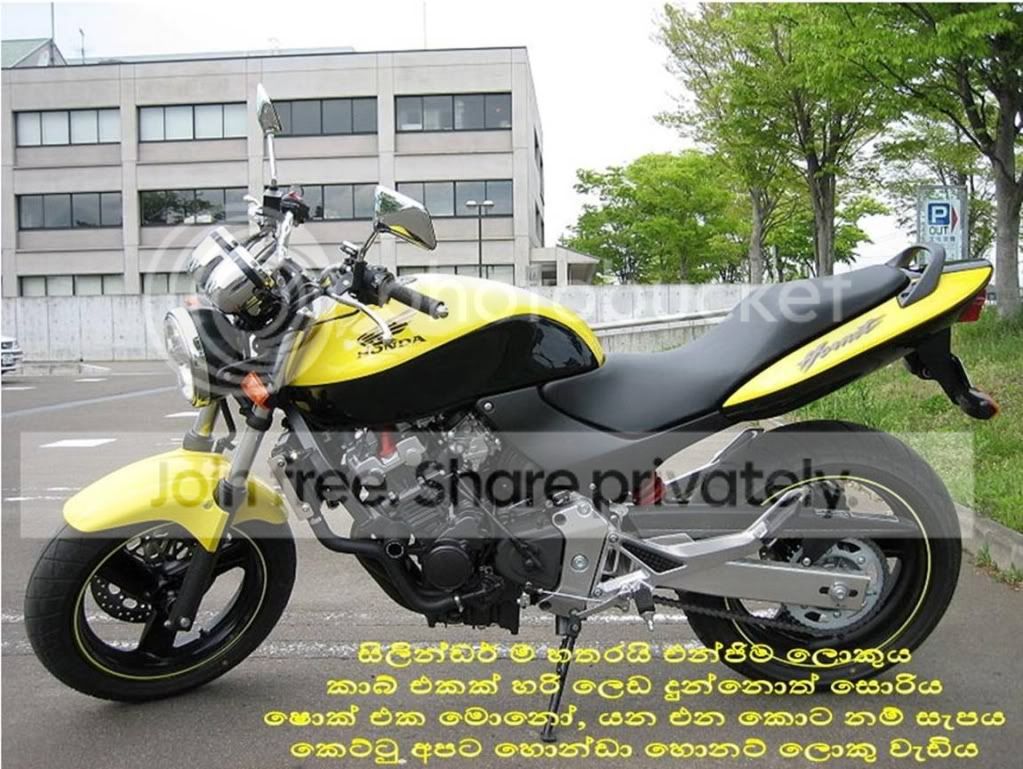cid_1319481763BN7web121406mail.jpg
