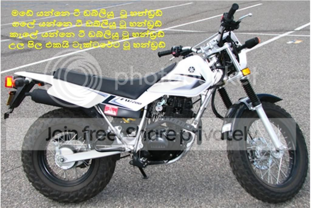 cid_531948176372web121406mail.jpg