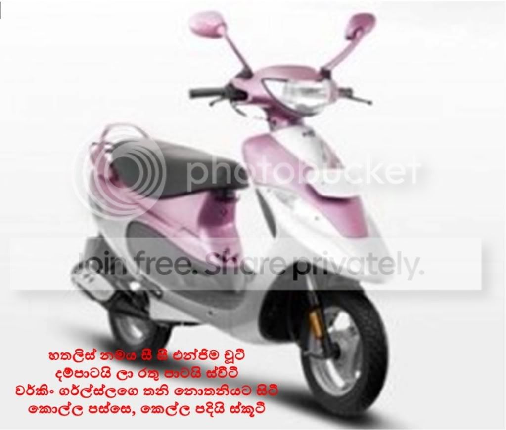 cid_73194817637web1221406mail.jpg