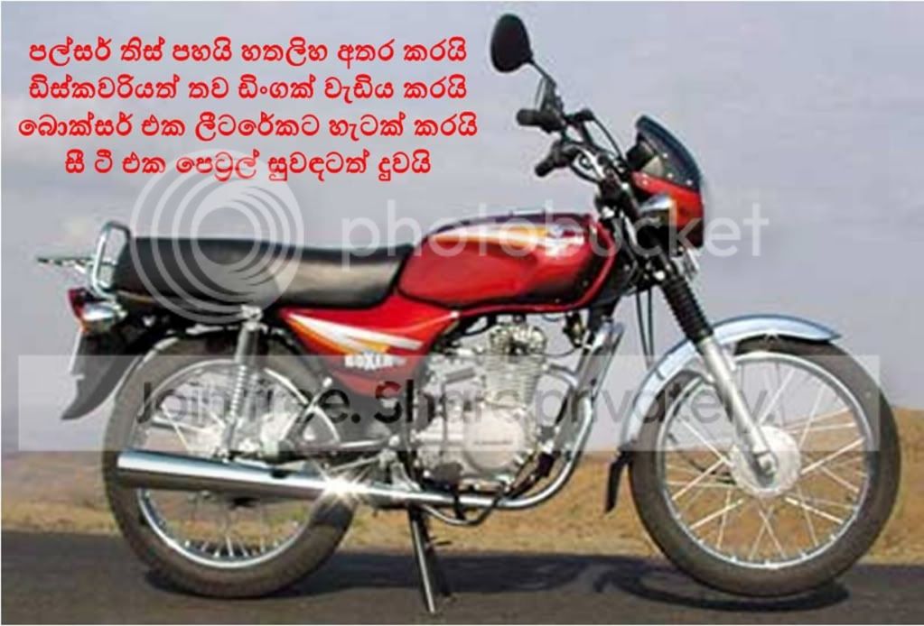 cid_8319481763722web121406mail.jpg