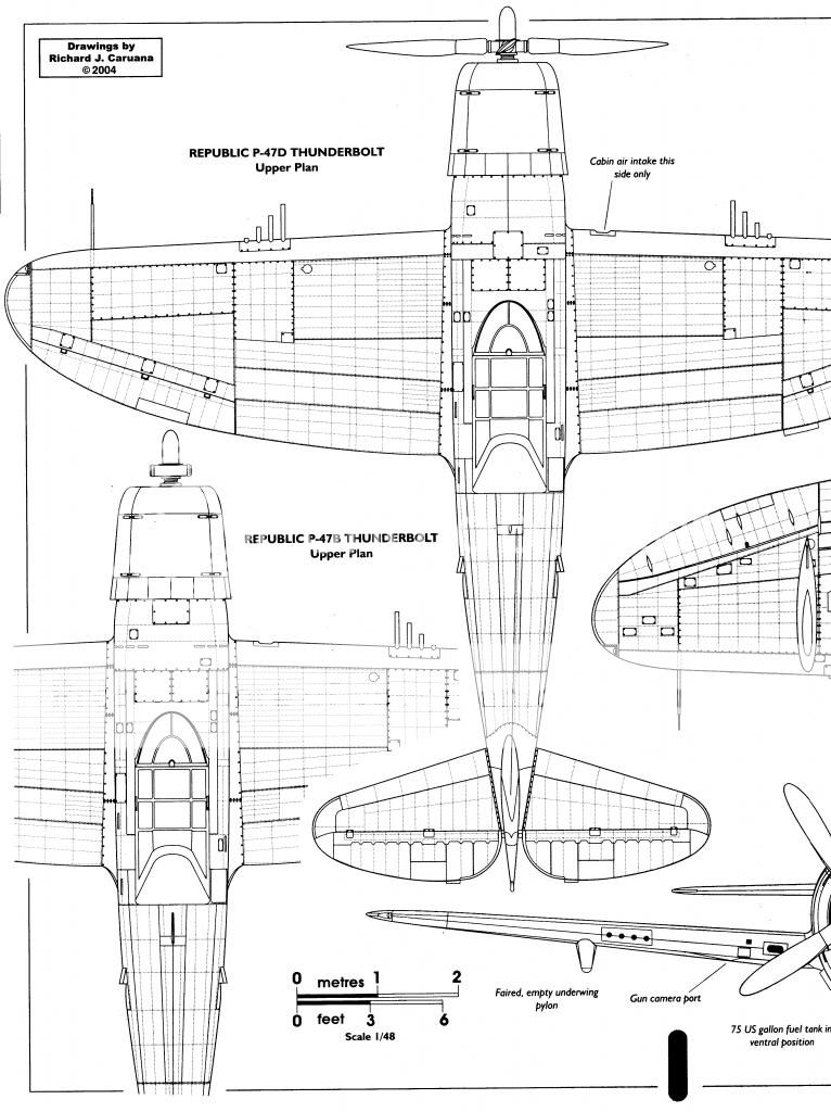 P-47 rivet lines - Props - ARC Discussion Forums